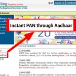 How to apply instant pan in India
